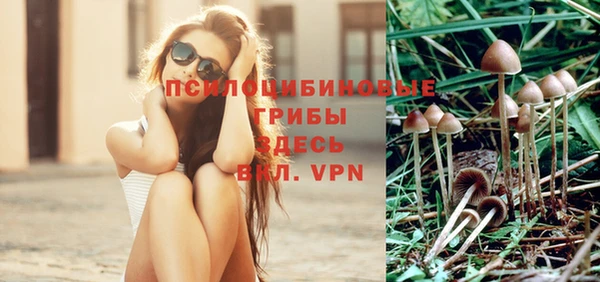 кокс Киреевск