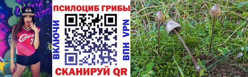 Купить где  Малоархангельск  Псилоцибиновые грибы MAGIC MUSHROOMS 